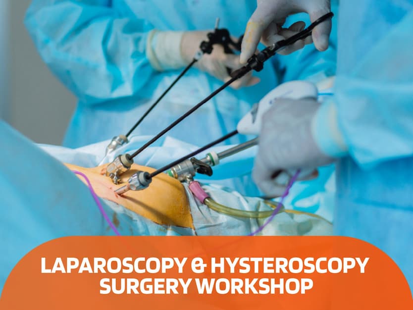 Laparoscopic and Hysteroscopy Surgery Workshop