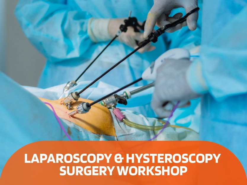 Laparoscopic and Hysteroscopy Surgery Workshop Laparoscopic and Hysteroscopy Surgery Workshop