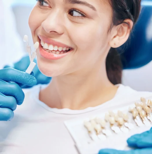 veneer malaysia _2025 veneer malaysia _2025