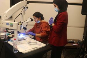 Endo Paradigm Hands-on_Sep_2025 (17)