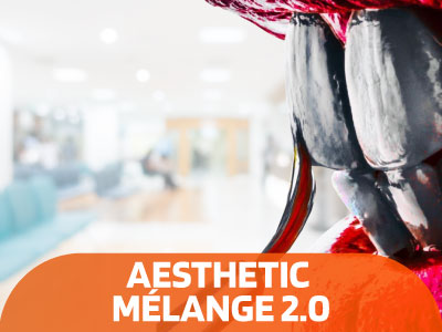 AESTHETIC-MÉLANGE-2.0 IMG