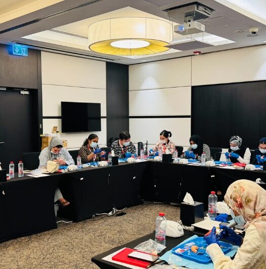 dental veneer courses,porcelain veneer course,occlusal veneer course